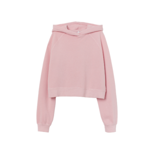 Pink Premium Hoodie
